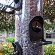 Load image into Gallery viewer, 2-in-1 XL Tube Hanging Bird Feeder - 4 lb. Capacity
